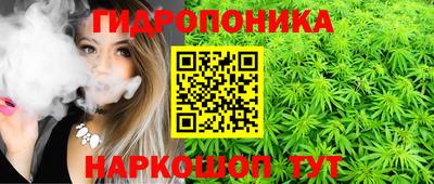 трава Аргун