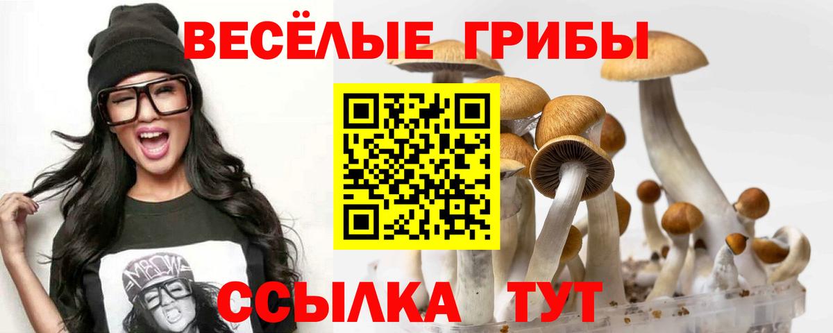Псилоцибиновые грибы MAGIC MUSHROOMS  Галлюциногенные грибы Psilocybine cubensis  сколько стоит  Вход с VPN  Великий Новгород 